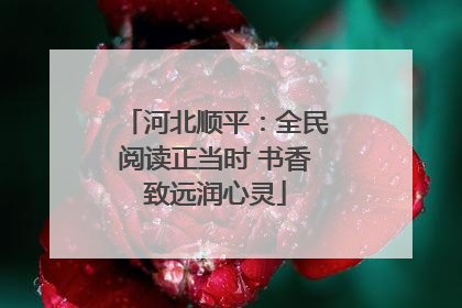 河北顺平：全民阅读正当时 书香致远润心灵
